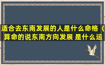 适合去东南发展的人是什么命格（算命的说东南方向发展 是什么运气）